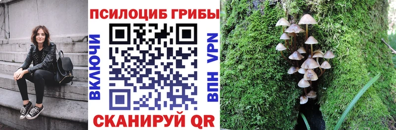 Галлюциногенные грибы Magic Shrooms  Кирс 