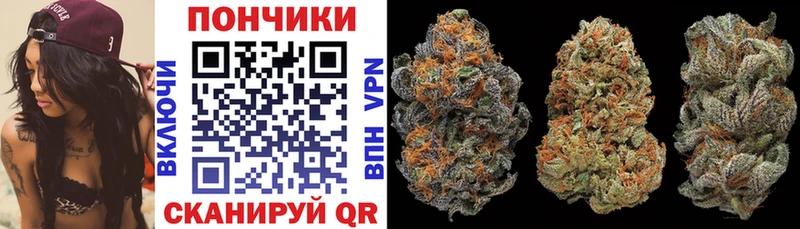 Бошки марихуана ГИДРОПОН  где продают наркотики  ОМГ ОМГ ССЫЛКА  Кирс 